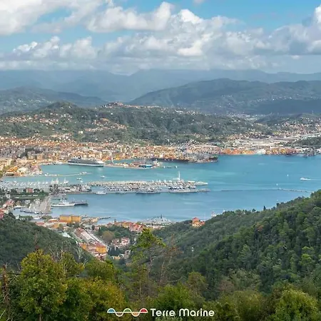 Quadro D'autore, Terre Marine Campiglia (Liguria)